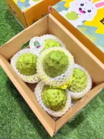 Buy Atis Sugar Apple Fruit Box Canada | Fresh Atis - Image 5