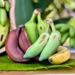 Buy 16 Pounds Banana Fruit Basket MIX | Fresh & Diverse Selection | Nationwide Delivery