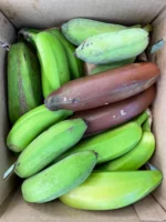 Buy 16 Pounds Banana Fruit Basket MIX | Fresh & Diverse Selection | Nationwide Delivery - Image 3