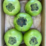 Buy Black Sapote in Canada | Fresh Chocolate Pudding Fruit - Image 4