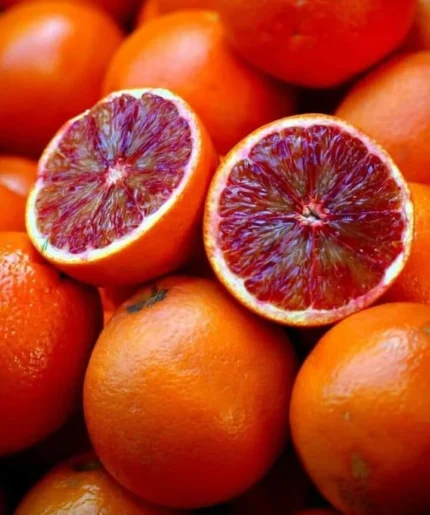 Buy Blood Orange in Canada | Fresh Citrus Fruit