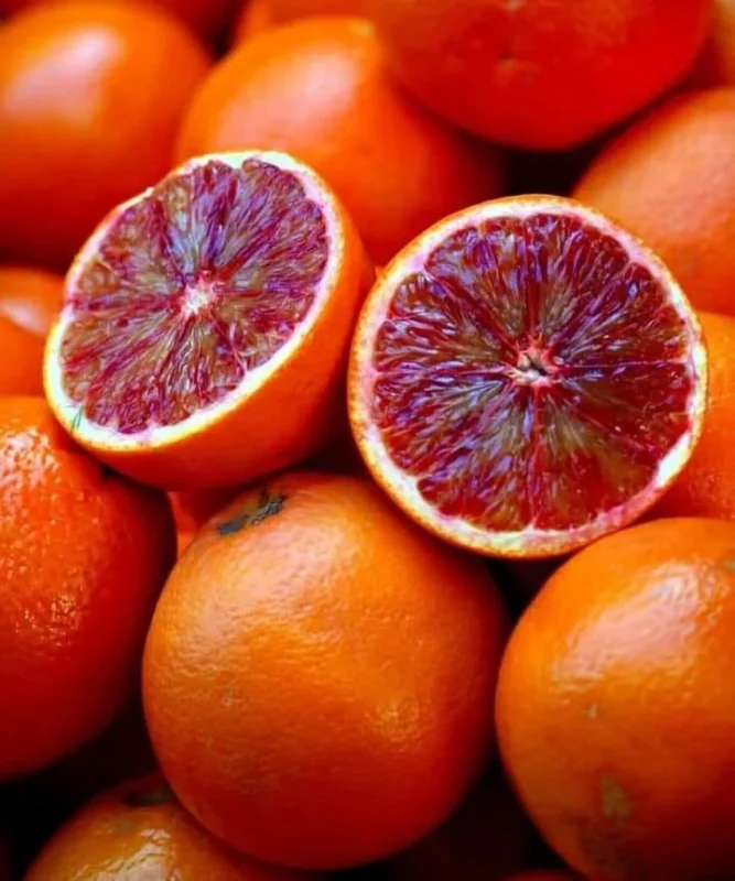 Buy Blood Orange in Canada | Fresh Citrus Fruit