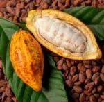 Buy Cacao Gift Fruit Box Canada | Fresh Cocoa Beans Pods - Image 2