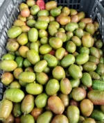 Buy Ciruela Fruit in Canada | Fresh Mexican Plum