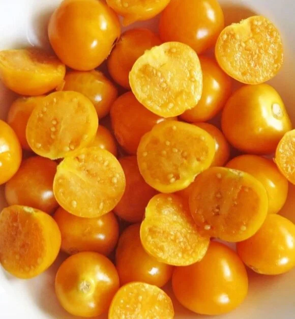 Fresh-Golden-Berry-Fruit-Boxs-580x627 Buy Fresh Golden Berry Fruit in Canada | Cape Gooseberries