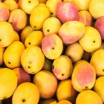 Buy Haitian Mango in Canada | Sweet Tropical Mango