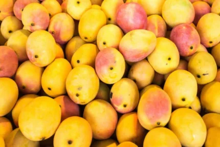 Buy Haitian Mango in Canada | Sweet Tropical Mango