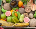 Buy Hello Spring Tropical Fruit Box Canada - Image 3