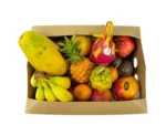 Buy Hello TropiKids Fruit Activity Box Canada