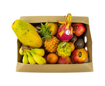 Buy Hello TropiKids Fruit Activity Box Canada