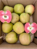 Hidden Rose Apples Canada – Buy Fresh Pink-Flesh Apples - Image 2