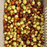 Buy Fresh Jujube Fruit in Canada | Sweet Red Dates - Image 2