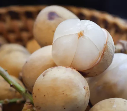 Buy Lanzone Fruit in Canada | Fresh Langsat