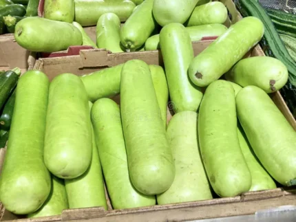Buy Long Opo Chinese Squash in Canada | Fresh Opo Lauki