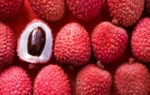 Buy Lychee in Canada | Fresh Tropical Lychee - Image 2