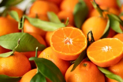 Buy Mandarin Oranges in Canada | Fresh Sweet Citrus