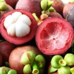 Buy Mangosteen Tropical Fruit in Canada | Fresh Purple Mangosteen - Image 4