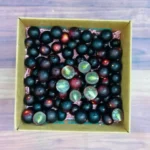 Buy Muscadine Grapes in Canada | Fresh Southern Grapes - Image 2