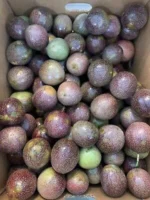 Buy Passion Fruit Canada |Fresh Tropical Passionfruit - Image 4