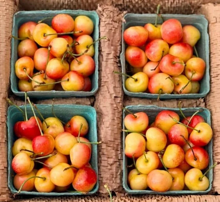 Rainier-cherries-Fruit-Boxes-e1751641512888 Order fresh Rainier cherries in Canada. Sweet, golden-red premium cherries delivered nationwide in eco-friendly insulated boxes.