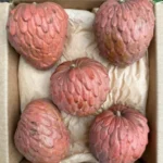 Buy Red Atemoya Fruit in Canada | Sweet Tropical Custard Fruit - Image 3