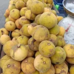 Buy Santol Fruit in Canada | Fresh Sweet-Sour Santol