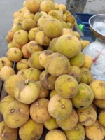 Buy Santol Fruit in Canada | Fresh Sweet-Sour Santol
