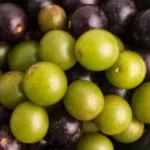 Buy Scuppernong Muscadine Grapes in Canada | Fresh Bronze Grapes - Image 2