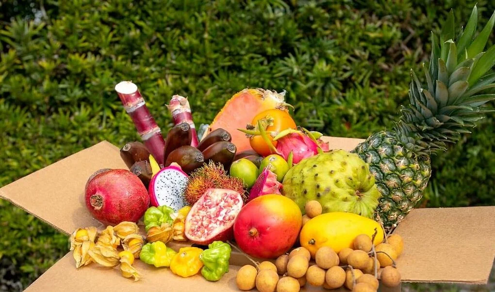 Tropical-Hell-Fruit-Feast-Boxs-e1751274611754 Buy Tropical Hell Fruit Feast Box Canada| Tropical Fruits Delivery