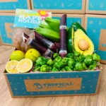 Buy 17 Pounds Tropical Holiday Fruit Box - Image 2