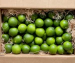 Buy Fresh Tropical Limes in Canada | Juicy Green Citrus - Image 2