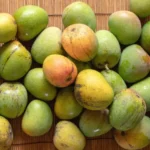 Buy 20 Pounds Tropical Mangos Fruit Box | Fresh & Juicy Mangos Delivered Canada - Image 3