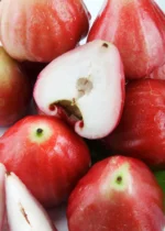 Buy Wax Jambu in Canada | Fresh Rose Apple Fruit - Image 4