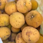 Buy Santol Fruit in Canada | Fresh Sweet-Sour Santol - Image 2