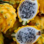 Buy Yellow Dragon Fruit in Canada | Sweet Pitahaya - Image 4