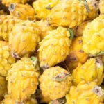 Buy Yellow Dragon Fruit in Canada | Sweet Pitahaya - Image 2